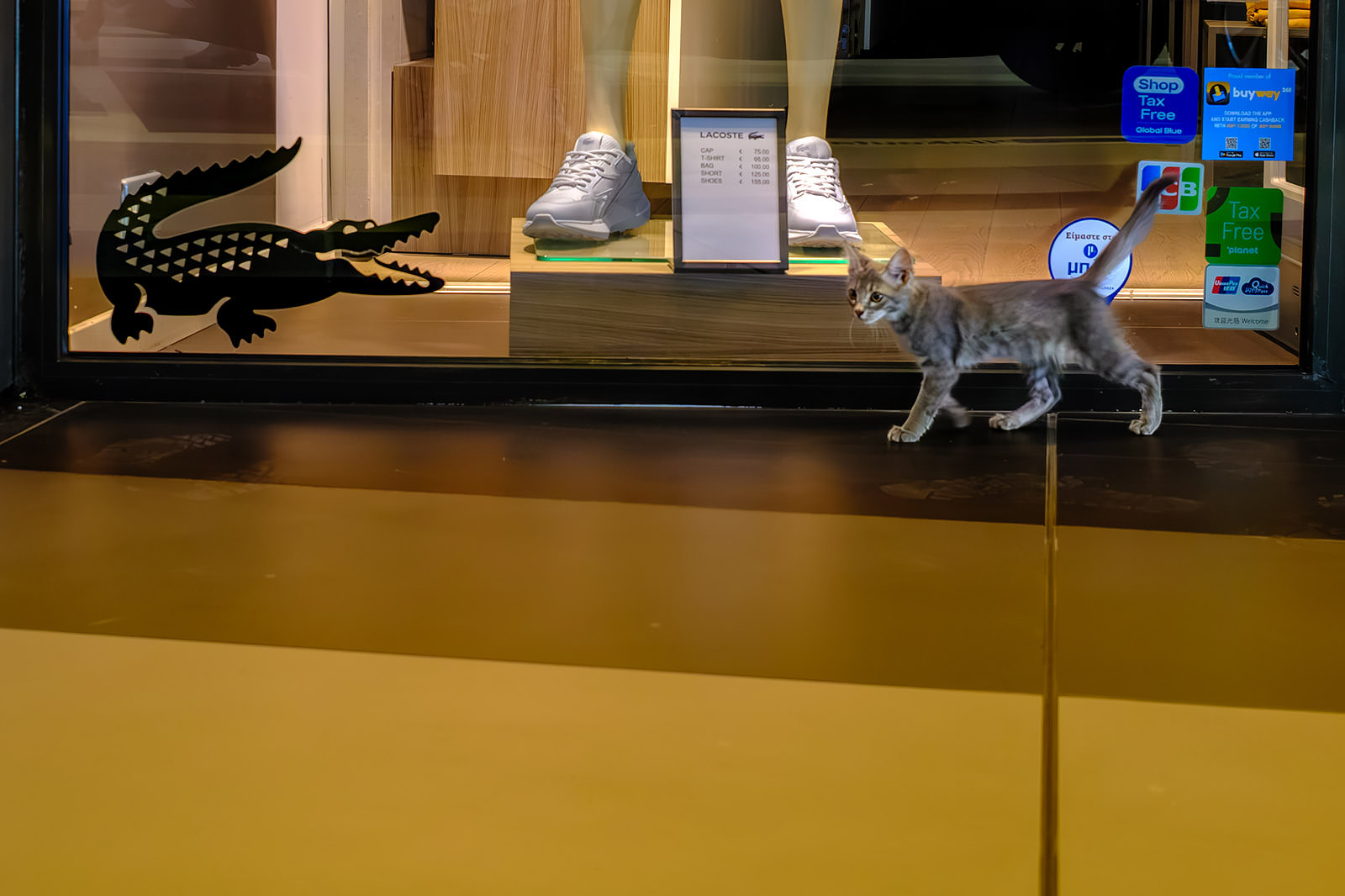 Fuji X100VI Review